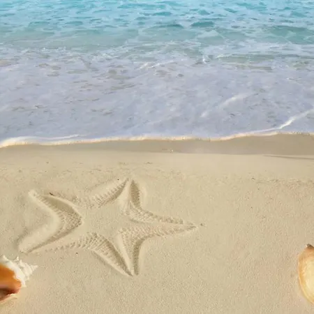 Alba سوتّومارينا